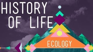 The History of Life on Earth  Crash Course Ecology 1 [upl. by Yarrum862]