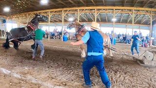 TROUBLE AT THE HORSE PULL  Draft Horse Pull in Madrid NY 529 [upl. by Sonafets341]