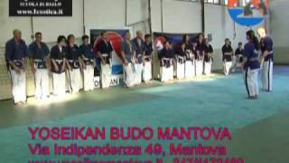 Yoseikan Budo Mantova [upl. by Nytsrik498]