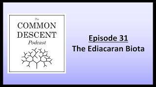 Episode 31  The Ediacaran Biota [upl. by Aicekan143]