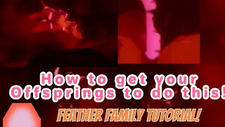 How To Get Your Offsprings To Do This  Feather Family Tutorial [upl. by Neyuh965]