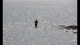 🎣🐟 20 km zuidelijker van Mazarrón naar Playa Cañada de gallego om te vissen 🎣🐟 202343 [upl. by Ailekahs6]