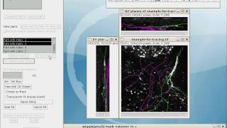 Simple Neurite Tracer  fitting centres and filling [upl. by Filiano]