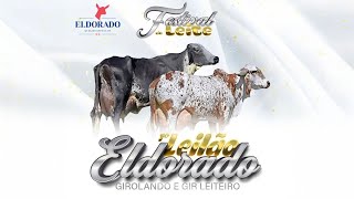 1º LEILÃO ELDORADO GIROLANDO E GIR LEITEIRO [upl. by Wivinia]