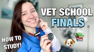 VET SCHOOL FINAL EXAMS everything you need to know about vet school exams format  how to study 🐾 [upl. by Michelina849]