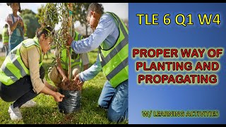 PROPER WAY OF PLANTING AND PROPAGATING TREES  TLE 6 Agriculture Week 4 K12 MELC Based [upl. by Balough]