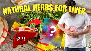 These Plants Make Your Liver Better Hepatitis Natural Remedies Explored [upl. by Vocaay935]