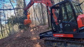 Fällgreifer Axer 540L  Kubota KX080 4a2  Landtechnik Klug [upl. by Mariellen]