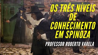 Os Três Níveis de Conhecimento em Spinoza  Professor Roberto Varela [upl. by Tisdale146]