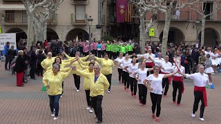 Concurs de colles sardanistes Balaguer Cobla Maravella [upl. by Mitchel349]