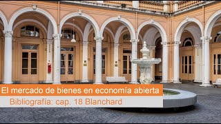 FCE UBA  278 Macroeconomía y Política Económica  El mercado de bienes en economía abierta [upl. by Ariahay816]