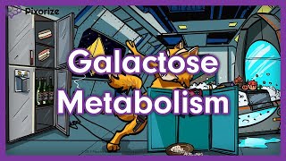 Galactose Metabolism Mnemonic  USMLE Preview [upl. by Magan]