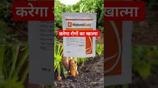 ridomil gold  metalaxymencozeb  fungicide disease farming indianfarmer [upl. by Noletta590]