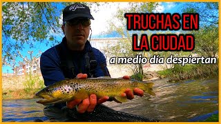 Pesca al hilo truchas en la ciudad a la hora del vermú flyfishing catchandrelease trout [upl. by Welby239]