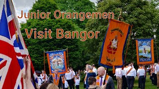 Junior Orangemen parade in Bangor 27 May 2023 [upl. by Shoemaker149]