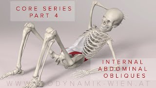 Core Series Part 4 Internal Abdominal Obliques Muscles 3D Animation [upl. by Eninahs]