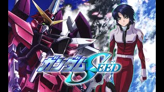 【MAD】Realize機動戦士ガンダムSEEDMobile Suit Gundam SEED [upl. by Erroll]