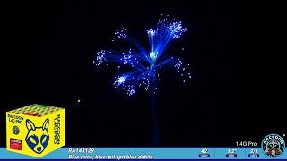 RA143129 Raccoon Fireworks 14G Pro Cake Blue mine blue tail spit blue dahlia [upl. by Enomis]