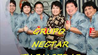 GRUPO NECTAR TU FALSEDAD [upl. by Bohon]