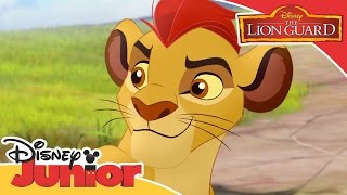 The Lion Guard  Kion Uses His Roar  Official Disney Junior Africa [upl. by Linzy]