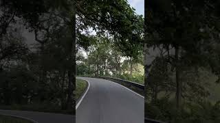 Corbett Vibes youtube travel trending nature viralvideo shorts uttarakhand jimcorbett reels [upl. by Ary]