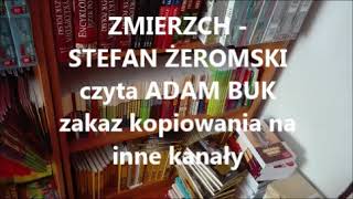 STEFAN ŻEROMSKI  ZMIERZCH Nowela Audiobook [upl. by Leonore]