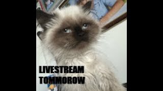 First Live tommorow [upl. by Jerry569]