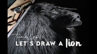 Hyperrealistic Pencil Drawing Time Lapse  How to Draw a Lion [upl. by Nodnelg237]