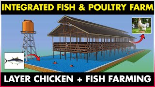 Integrated Fish and Chicken Farming  Integrated Fish Farming and Layer Poultry Farming [upl. by Kermy]