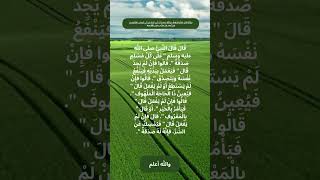 Reference  Sahih alBukhari 6022 islam [upl. by Aseral258]