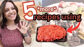 5 MORE Ground Beef recipes SO GOOD [upl. by Farrington]