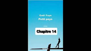 14  Petit Pays  Gael Faye  aide à la lecture  Chapitre 14 [upl. by Calvo]