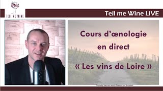 COURS DOENOLOGIE  LES VINS DE LOIRE  Devenez incollable [upl. by Aicats]