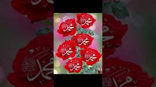 Beautiful Islamic Video🥰 shorts islamic shortsvideo makkah youtubeshorts allahﷻ tiktokvideo [upl. by Parnell]