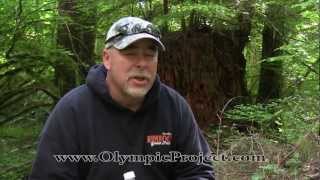 Olympic Project Expeditions in Sasquatch Research [upl. by Fitz]