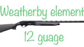 Testing out the Weatherby Element 12 gauge [upl. by Cornell922]