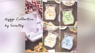 Scentsy Hygge Wax Collection [upl. by Neelrac]