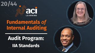 Audit Programs IIA Standards  Fundamentals of Internal Auditing  Part 20 of 44 [upl. by Anerom]