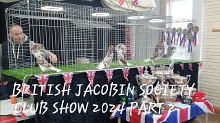 British Jacobin Society club show 2024 [upl. by Wolfort54]