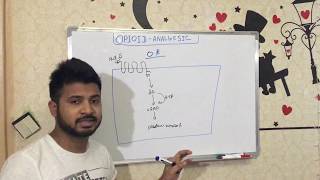 Pharmacology of OPIOIDS ANALGESIC PART1 [upl. by Hunt813]