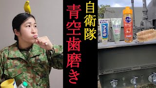 【驚き！】訓練中の自衛隊の歯磨きどうやってしてるの！？【陸上自衛隊・女性自衛官・自衛隊芸人・お笑い・福知山駐屯地・ちっぴぃちゃんズの陸上自衛隊あるある】 [upl. by Anihsak]