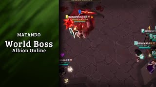 My first time killing the world boss Matando World Boss  AlbionOnline [upl. by Prima174]