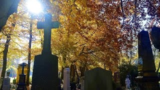 2015 11 01 Allerheiligen München Ostfriedhof [upl. by Alain472]