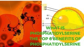 What Is Phosphatidylserine The Top 6 Benefits of Phosphatidylserine [upl. by Nims]