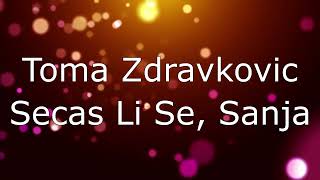 Toma Zdravkovic  Secas Li Se Sanja Tekst [upl. by Hillie]