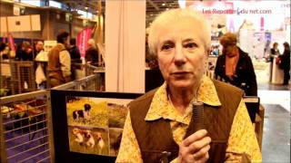 Epagneul Breton  Reportage au salon de lAgriculture [upl. by Levram]