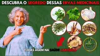 7 Ervas NATURAIS Que Você Precisa Conhecer AGORA Para Ter a Pressão Arterial Sob Controle [upl. by Tiduj]