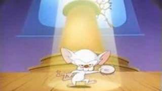 pinky and the brainbrainstem [upl. by Crescin]