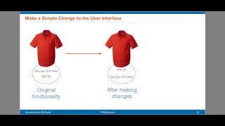 NetSuite SuiteCommerce Advanced  Customizing the Reference Application 3 of 6 [upl. by Kovar]