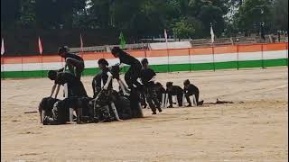 A Patriotic Dance  School Children  Republic Day Celebration [upl. by Ezana]